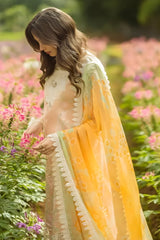 Mushq - 3PC Lawn Embroidered Shirt with Printed Silk Dupatta (Unstitched) - RF1366 Royal Pret